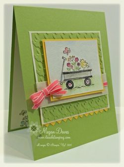 How to Isolate Images on Stamps, Video Tutorial, Stampin' Up!