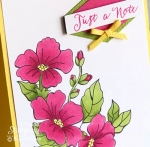 Stampin up blended seasons bundle | close up of flowers