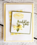 Stunning Greeting Card Made in a Flash |The finished project